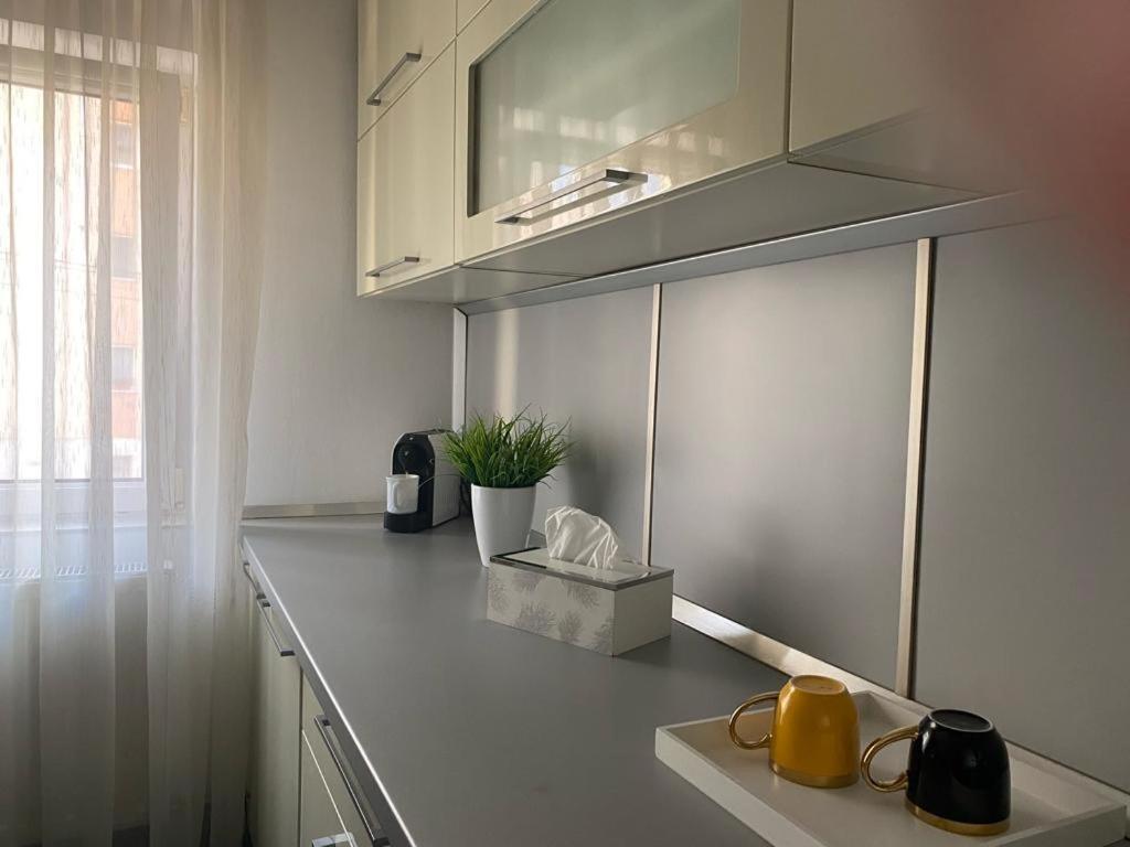 Apartament Doua Camere Baia Mare Exterior foto